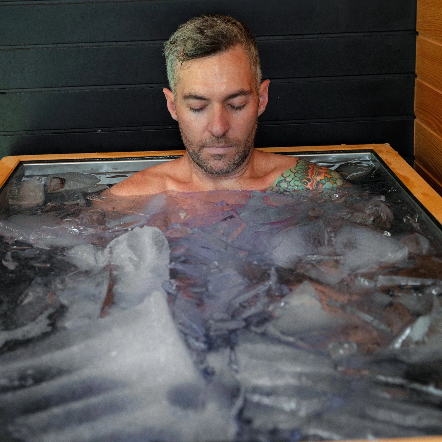 Revive Luxury Cold Plunge – Ice-Making System